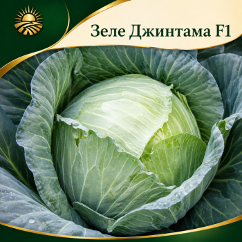 Зеле Де Бузау (De Buzau)