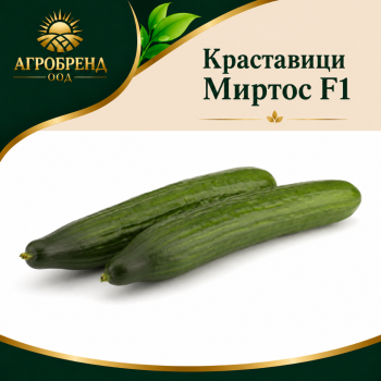 Краставици Миртос F1 ( Myrthos F1 )