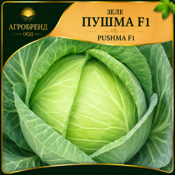 Зеле Пушма F1 ( Pushma F1 )