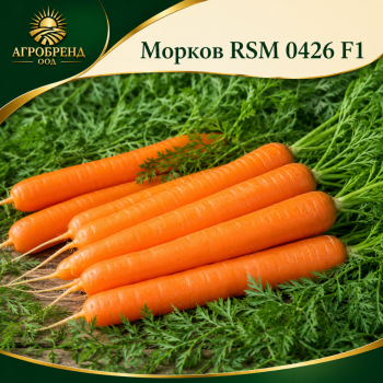 Морков RSM 0426 F1