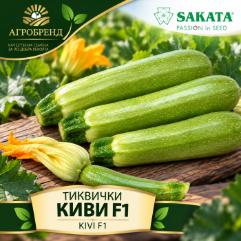 Тиквички Киви F1 | Kivi F1 |