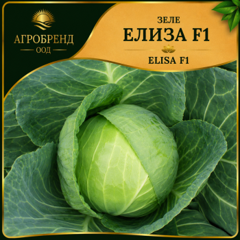 Зеле Елиза F1 ( Elisa F1 )