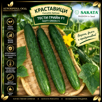 Краставици Тести грийн F1 | Tasty green F1 |