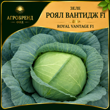 Зеле Роял вантидж F1 ( Royal vantage F1 )