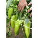 Пипер SV0102PP F1 ( SM 102 F1 )