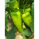 Пипер SV0102PP F1 ( SM 102 F1 )