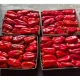 Пипер SV0102PP F1 ( SM 102 F1 )