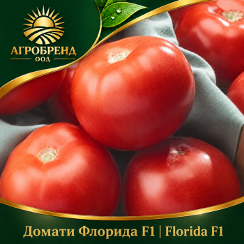 Домати Флорида F1 | Florida F1 |