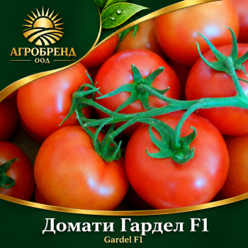 Домати Гардел F1 | Gardel F1