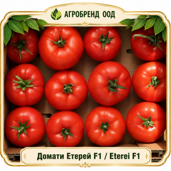 Домати Етерей F1 | Eterei F1 |