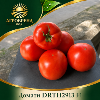 Домати DRTH2913 F1 | ToBRFV |