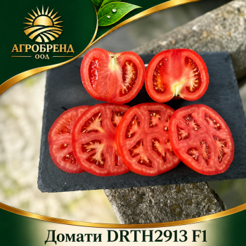 Домати DRTH2913 F1 | ToBRFV |