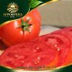 Домати Биг Биф Плюс F1 | Big Beef Plus F1 | SVTH3438 F1 |