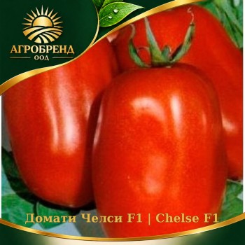 Домати Челси F1 | Chelse F1 |