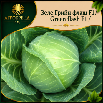Зеле Грийн флаш F1 / Green flash F1 /
