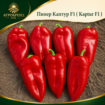 Пипер Каптур F1 ( Kaptur F1 )