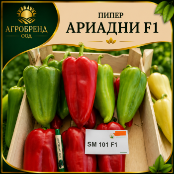 Пипер Ариадни F1 ( Ariadni F1 )