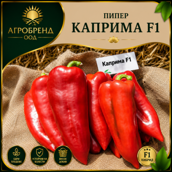 Пипер Каприма F1 ( Kaprima F1 )