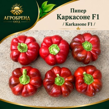 Пипер Каркасоне F1 / Karkasone F1 /