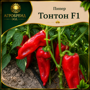 Пипер Тонтон F1 ( Tonton F1 )