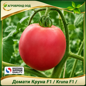Домати Круна F1 | Kruna F1 |