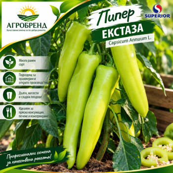 Пипер Екстаза