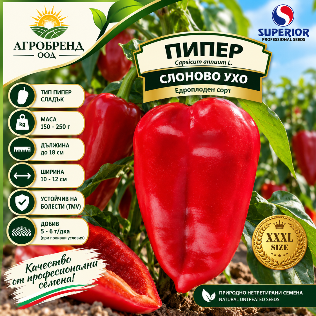 Пипер Слоново ухо Пипер