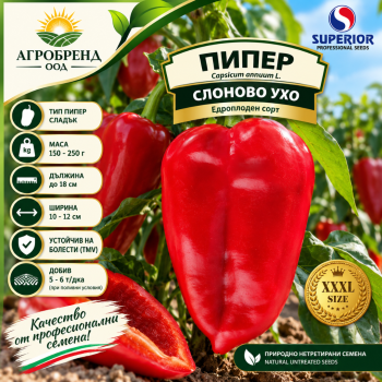 Пипер Слоново ухо Пипер
