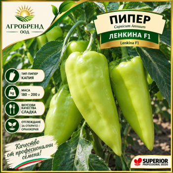 Пипер Ленкина F1 | Lenkina F1|