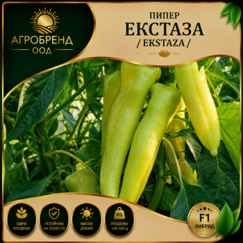 Пипер Екстаза (EKSTAZA)