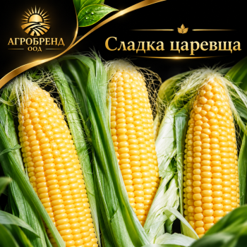 Царевица GSS 8529 F1-Хоби