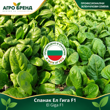 Спанак Ел гига F1 | El Giga F1 |