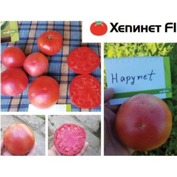 Домати Хепинет F1 |Hapynet F1 |