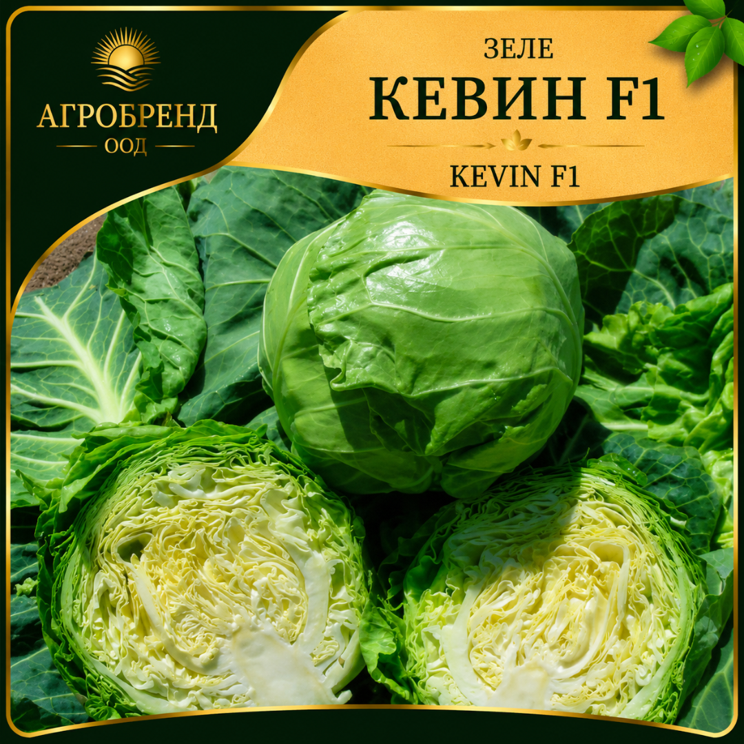 Зеле Кевин F1 ( Kevin F1 )