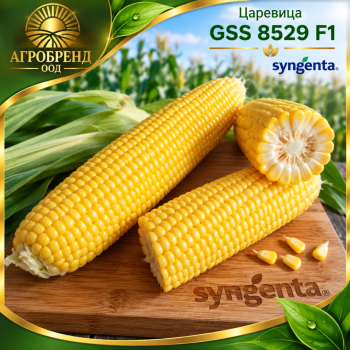 Царевица GSS 8529 F1-Профи