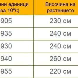 Царевица GSS 3951 F1- Профи