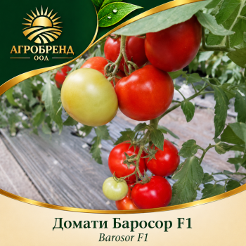 Домати Баросор F1 | Barosor F1 |