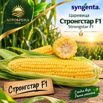 Царевица Стронгстар F1 | Strongstar F1 |