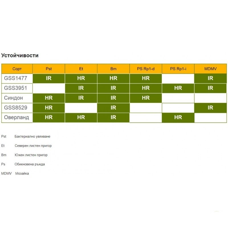 Царевица GSS 3951 F1- Профи