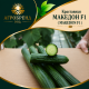 Краставици Македон F1 ( Makedon F1 )