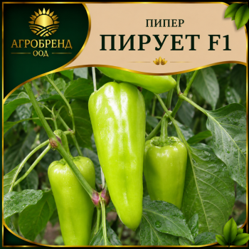 Пипер Пирует F1 ( Piruet F1 )