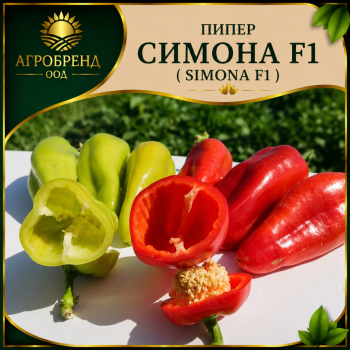 Пипер Симона F1 / Simona F1 /