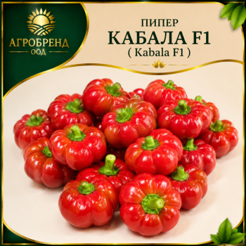 Пипер Кабала F1 ( Kabala F1 )