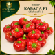 Пипер Кабала F1 ( Kabala F1 )