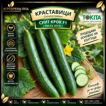 Краставици Суит Крок F1 | TSX-CU 237 F1|