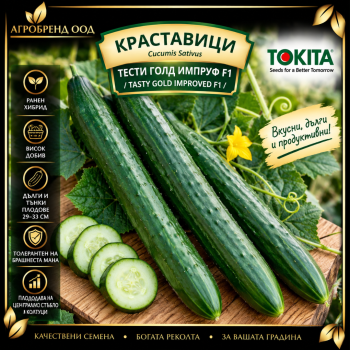 Краставици Тести голд Импруф F1 | Tasty gold Improved F1 |