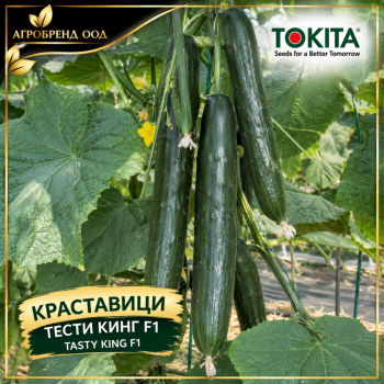 Краставици Тести Кинг F1 | Tasty King F1 |