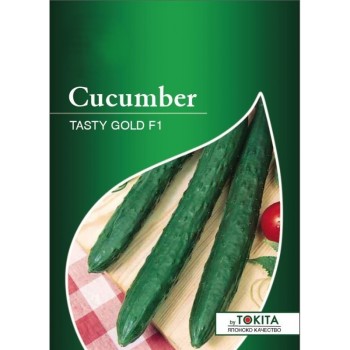 Краставици Тести голд Импруф F1 | Tasty gold Improved F1 |