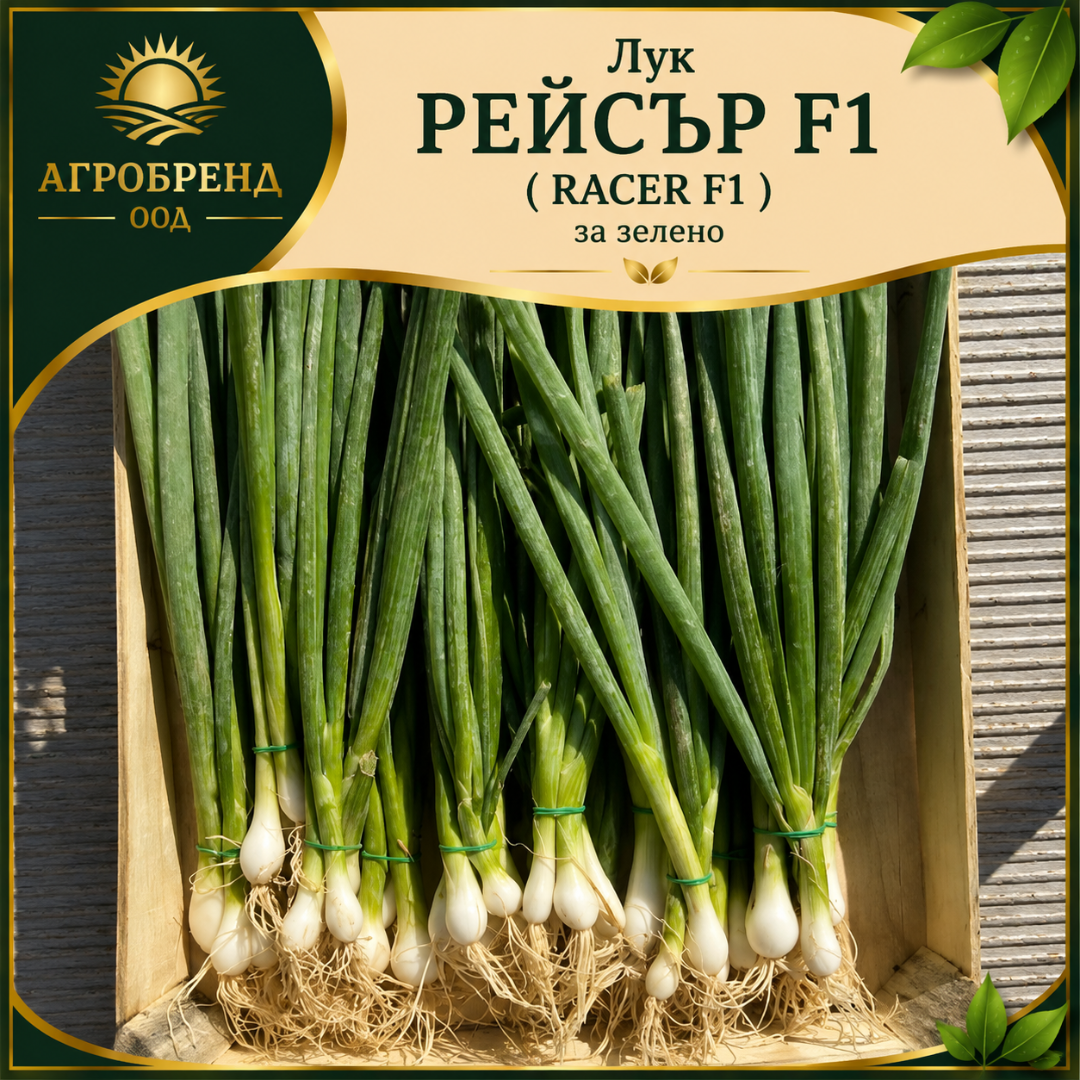 Лук Рейсър F1 ( Racer F1) - за зелено