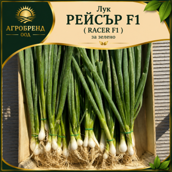 Лук Рейсър F1 ( Racer F1) - за зелено